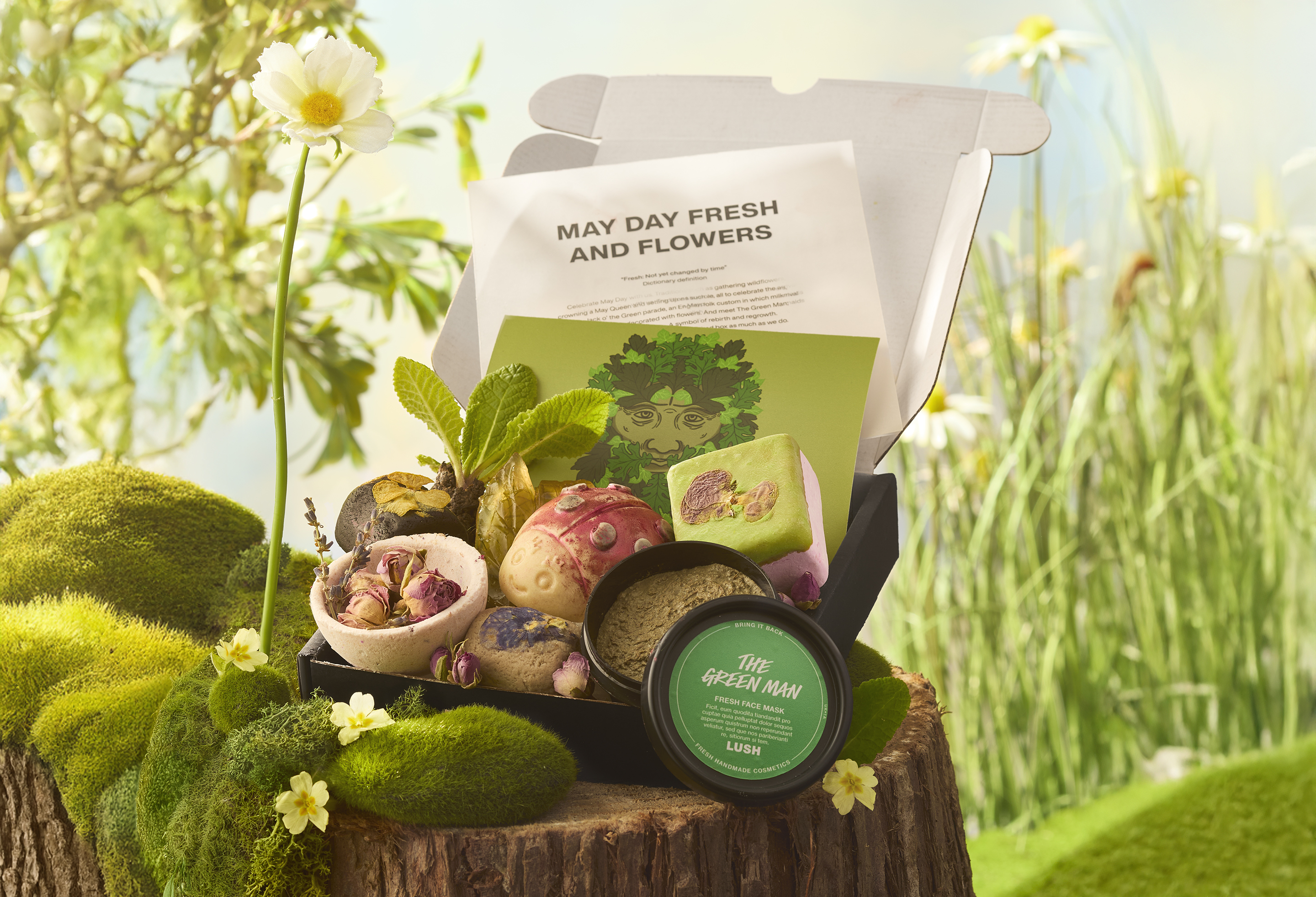Lush Kitchen Shower Box | Subscription | LUSH